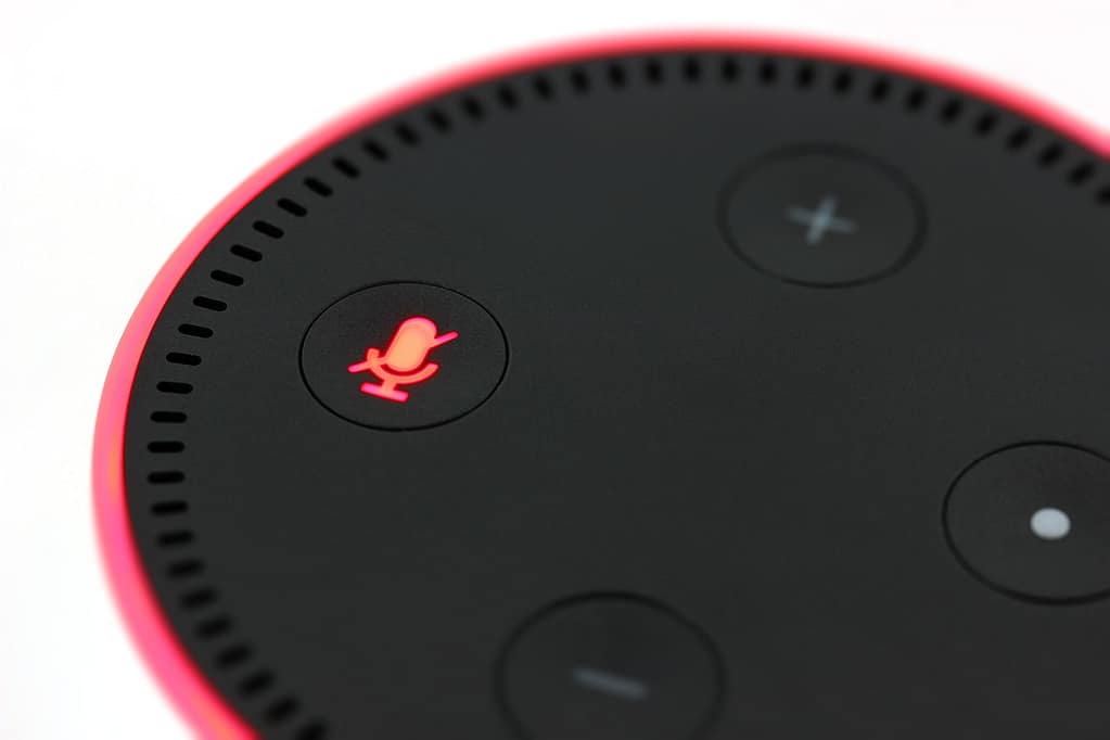 echo dot, amazon, language assistant, alexa, sound off, tired, micro-phone, alexa, alexa, alexa, alexa, alexa