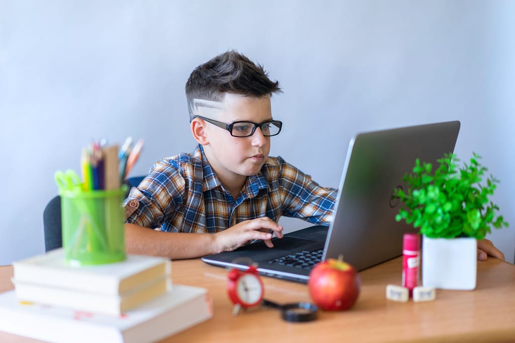 Young boy using laptop, Digital Entrepreneurship Young People