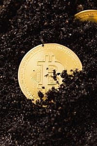 Half bitcoin in dirt half uncovered on ground
