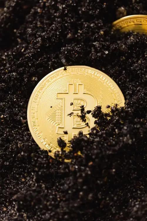 Half bitcoin in dirt half uncovered on ground